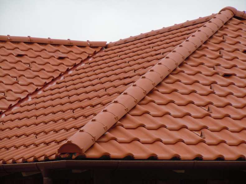 Крыша для бани (фото): пошаговая инструкция по возведению своими руками плоских, односкатных и двухскатных крыш по чертежам