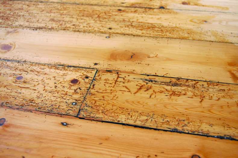 Гниет пол в бане: сборник полезных советов, чем обработать лаги для устранения основных причин и защиты деревянного покрытия