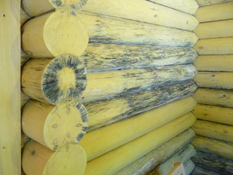 Защита древесины от влаги (на улице или внутри помещения): ТОП-10 народных средств и препаратов для защиты дерева от гниения