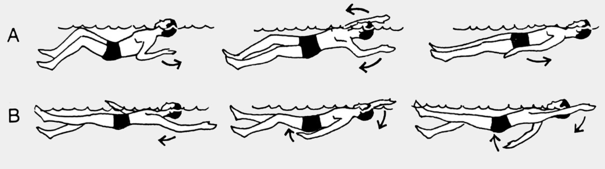 Как правильно плавать на спине? Техника выполнения и полезные рекомендации