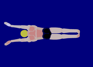 Классификация и особенности стилей плавания